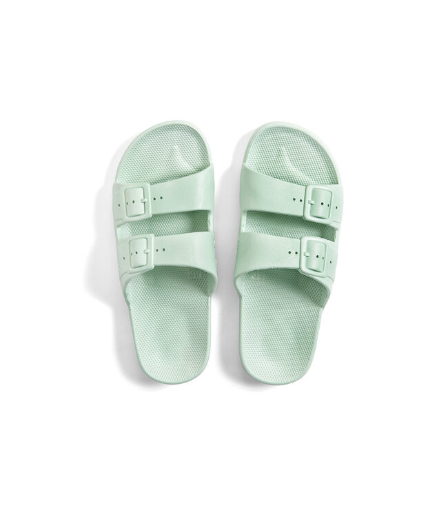 Freedom Moses: Slipper Sage