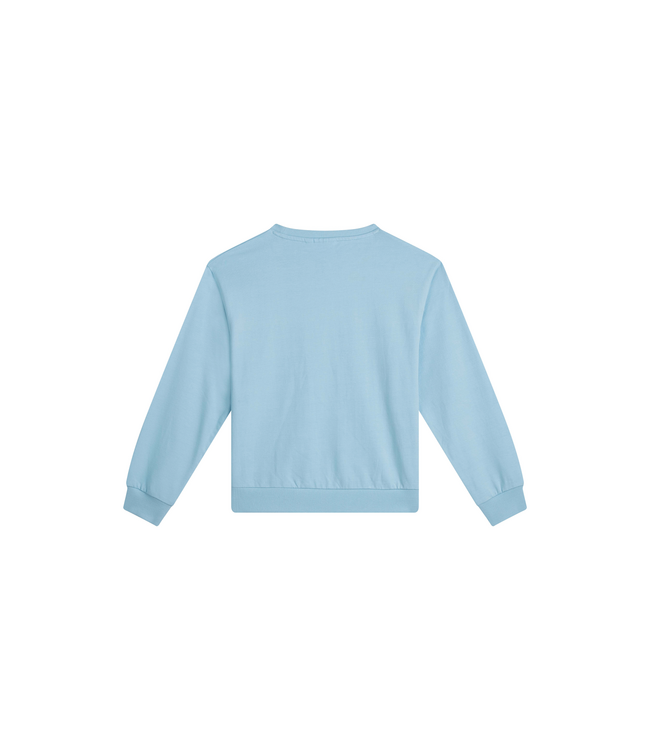 SS Awesome: Sweater Joan 500035 (Light blue)