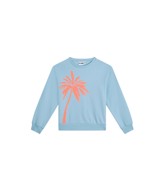 Awesome SS Awesome: Sweater Joan 500035 (Light blue)