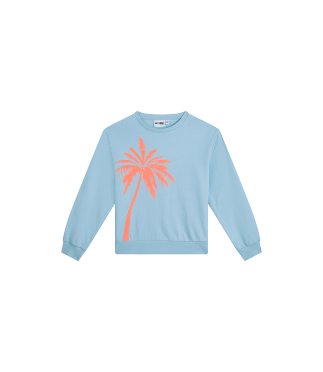 SS Awesome: Sweater Joan 500035 (Light blue)