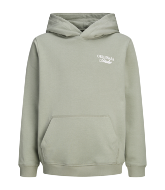 Jack & Jones SS Jack&Jones: Hoodie Norrebro 12284069 (Seagrass)