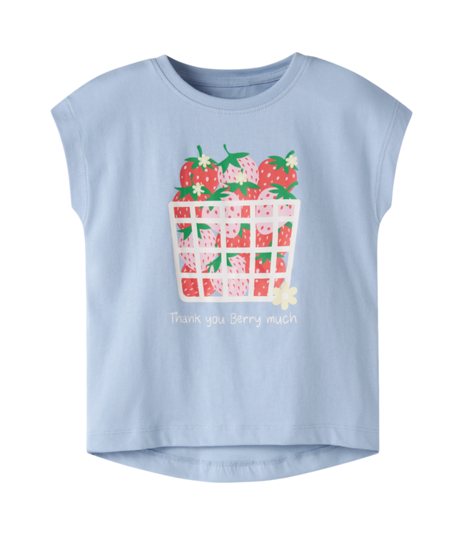 SS Name it: T-shirt Vigea 13228175 (Chambray Blue)