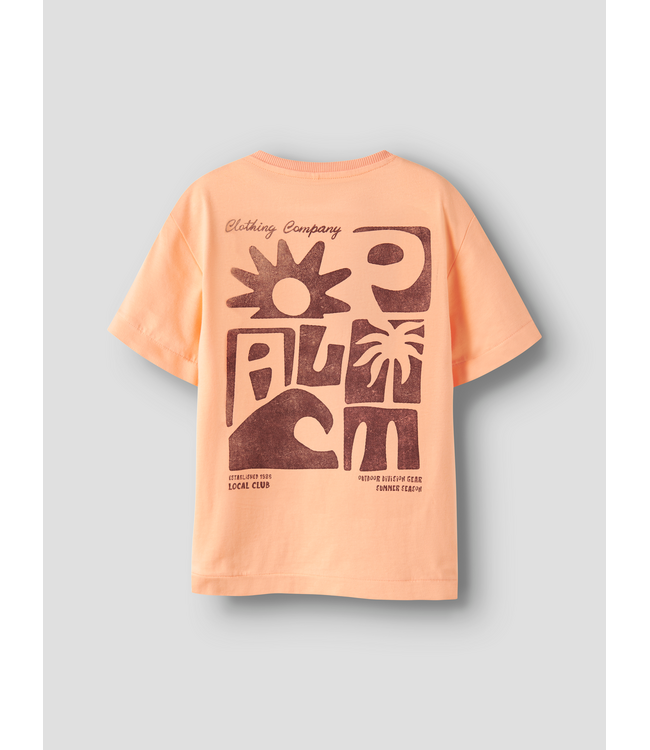 SS Name it: Fakim 13254610 (Peach fuzz)