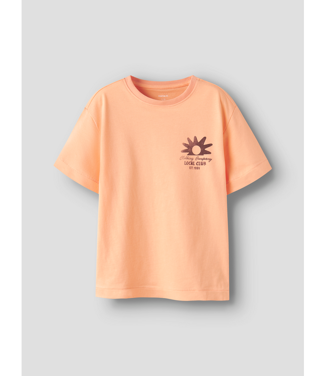 SS Name it: Fakim 13254610 (Peach fuzz)