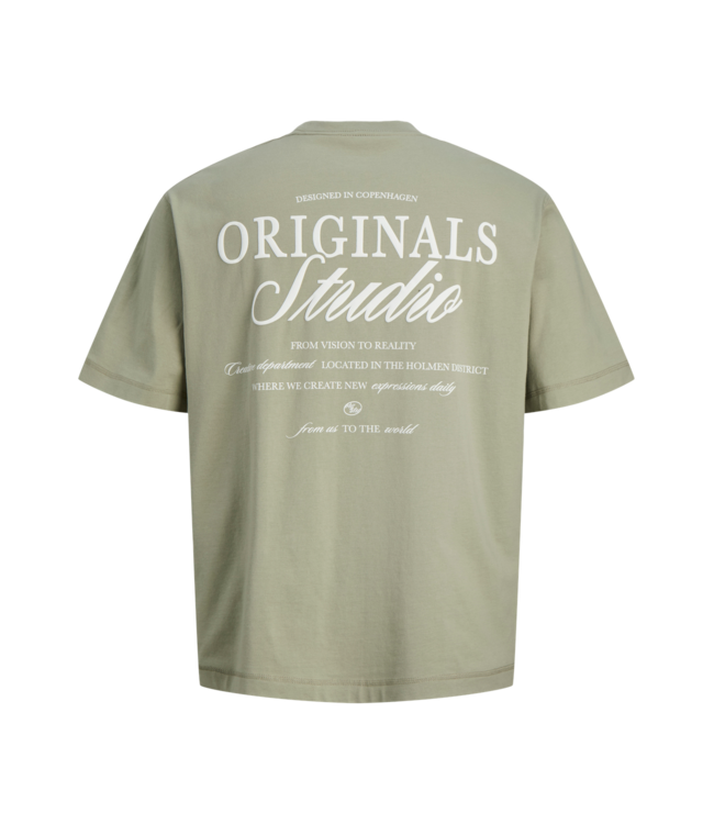 SS Jack&Jones: T-shirt Norrebro 12284057 (Seagrass)