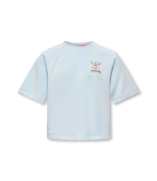 SS Kids Only: T-shirt Gada 15368555 (Winter Sky)