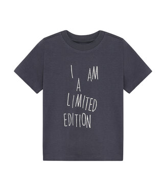 Minymo SS Minymo: T-shirt 134301 (Odyssey gray)