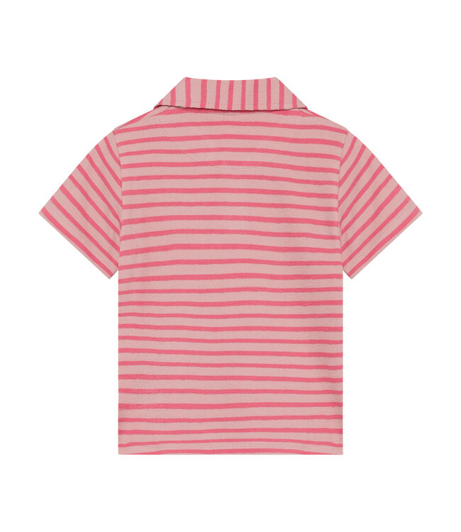 SS Minymo: Polo 124341 (Rosy Tough)
