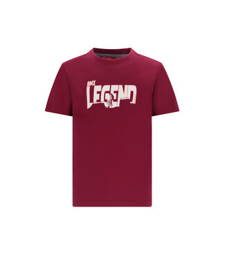 TYGO&vito SS TYGO&Vito: T-shirt Jaimy 6423 (Rhododendron)