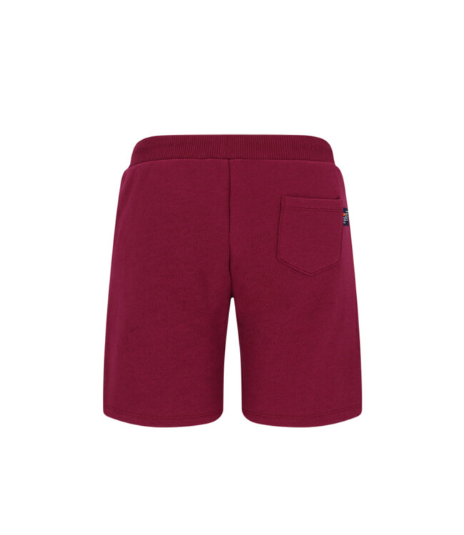 SS TYGO&Vito: Sweatshort Toby 6620 (Rhododendron)
