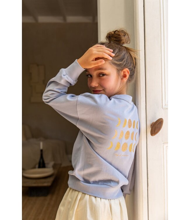 SS Like Flo: Sweater Donnie 5303 (Light blue)
