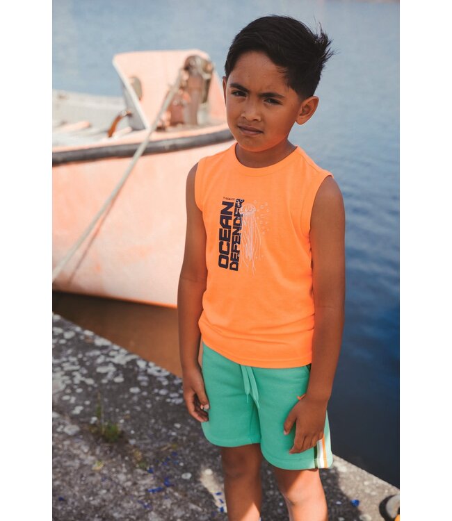 SS TYGO&Vito: T-shirt Niek 6421 (Orange Clownfish)