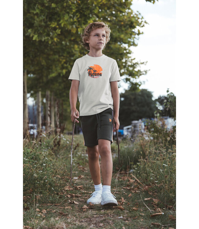 SS TYGO&Vito: T-shirt Jaimy 6423 (Pebble Stone)