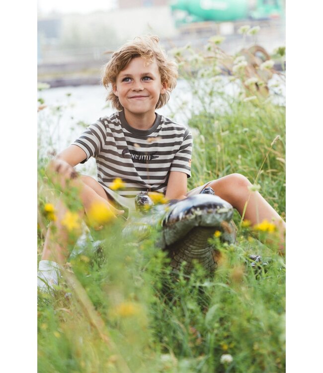 SS TYGO&Vito: T-shirt Desmond 6439 (Olive)