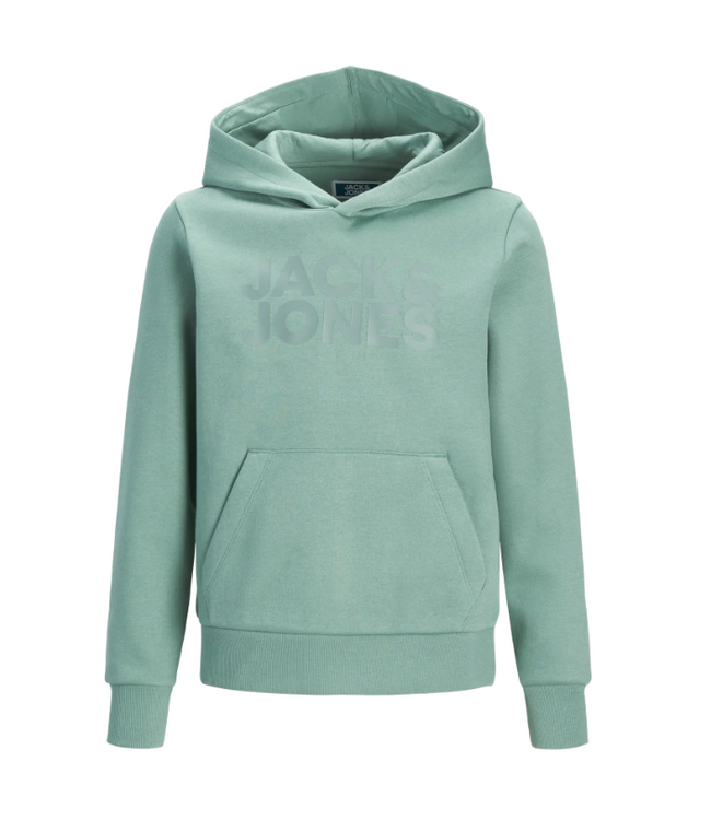 SS Jack&Jones: Hoodie Corp 12152841 (Mineral  blue)