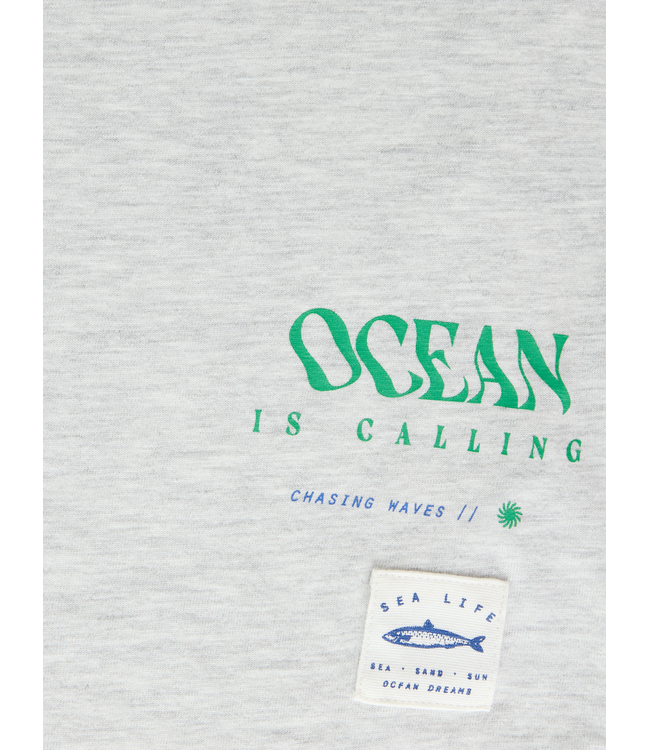 SS Name it: T-shirt Haddu 13259803 (Light grey melange)