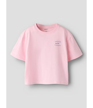 Name it SS Name it: T-shirt Halfrida 13259797 (Fairy tale)