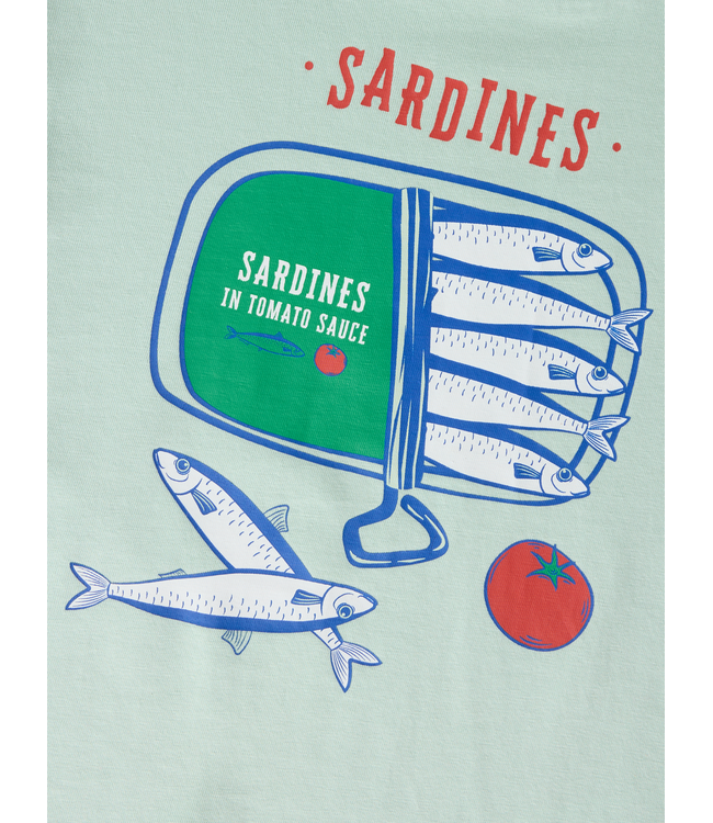 SS Name it: T-shirt Hadu 13259793 (Subtle green)