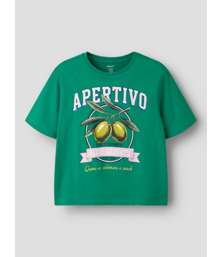 Name it SS Name it: T-shirt Hulina 13262167 (Bosphorus)
