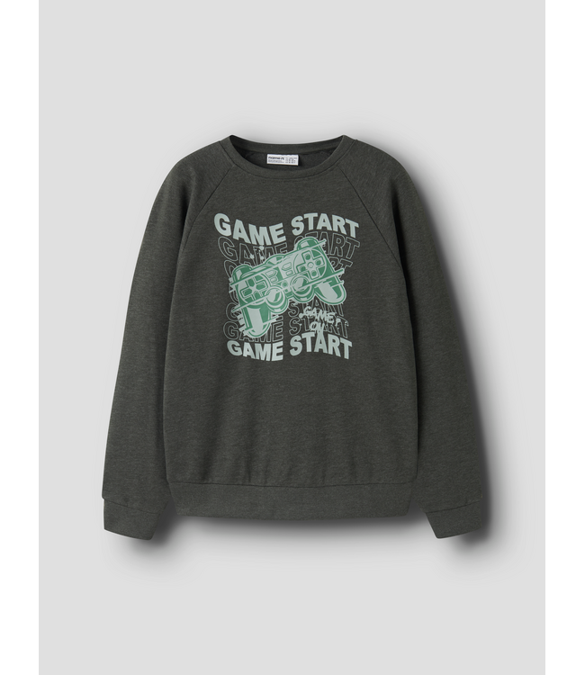 FW Name it: Sweater Vion 13246347 (Peat)