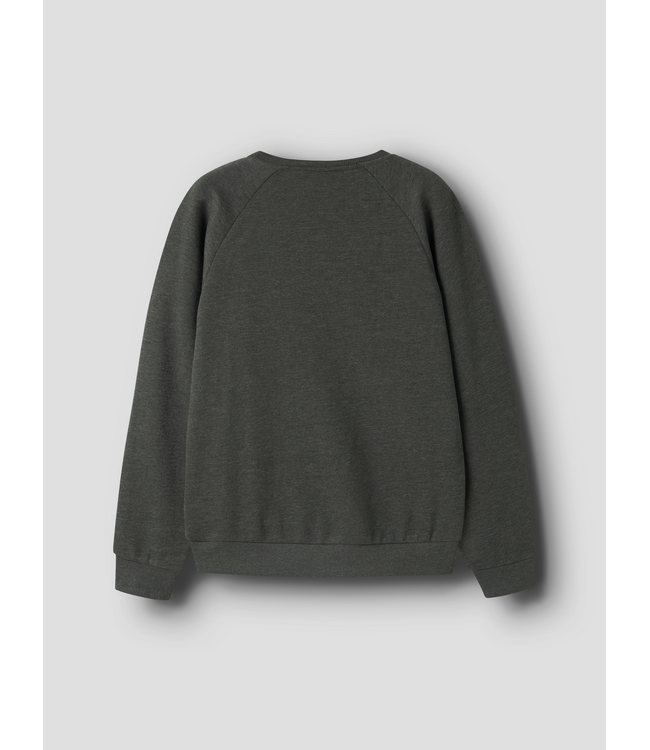 FW Name it: Sweater Vion 13246347 (Peat)