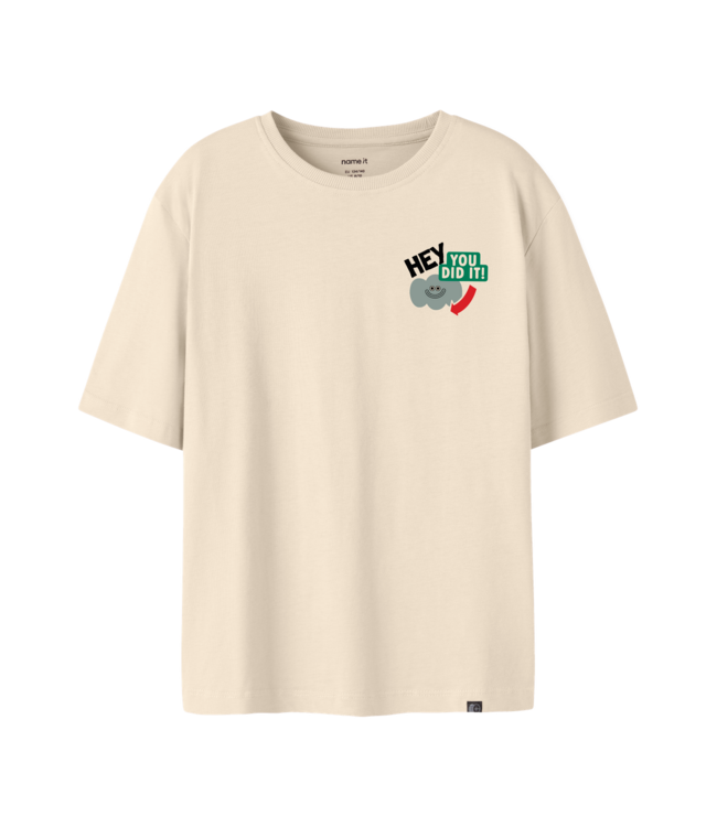 FW Name it: T-shirt Naso 13257296 (Antique white)
