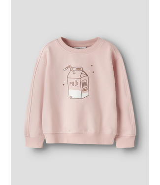 Name it FW Name it: Sweater Kiki 13257314 (Lotus)