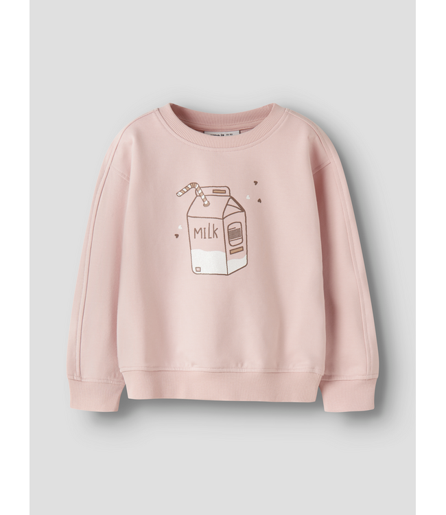 FW Name it: Sweater Kiki 13257314 (Lotus)