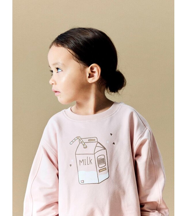 FW Name it: Sweater Kiki 13257314 (Lotus)