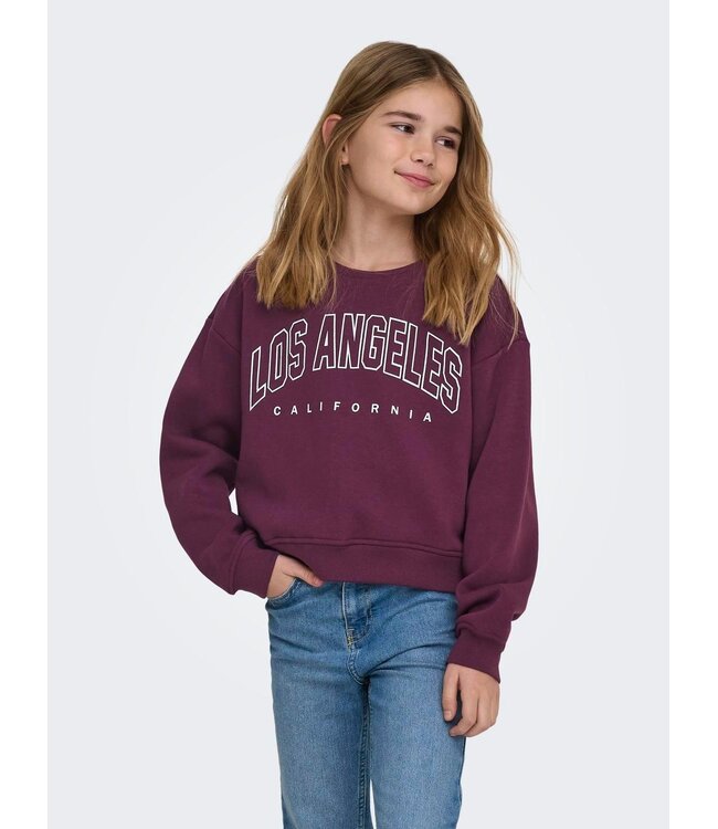 FW Kids Only: Sweater Sweat 15353354 (Mauve Wine)