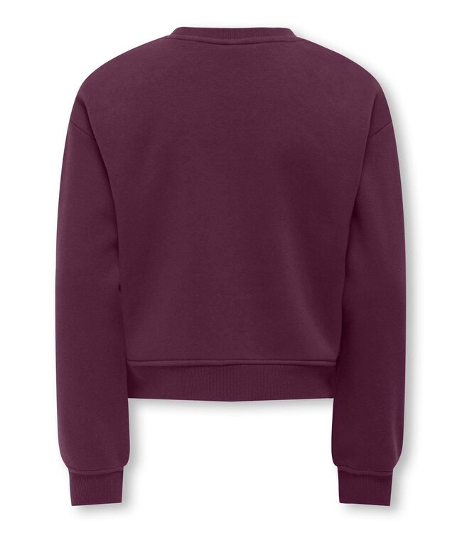 FW Kids Only: Sweater Sweat 15353354 (Mauve Wine)