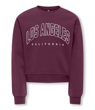 Kids Only FW Kids Only: Sweater Sweat 15353354 (Mauve Wine)
