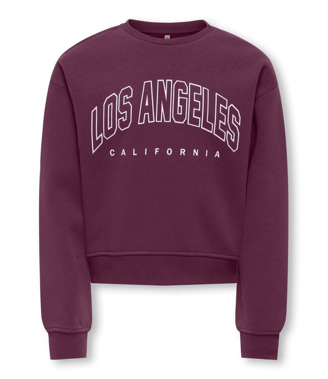 FW Kids Only: Sweater Sweat 15353354 (Mauve Wine)