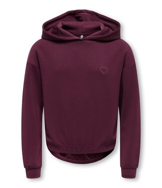 Kids Only FW Kids Only: Hoodie Gada-Cooper 15364592 (Figfig)