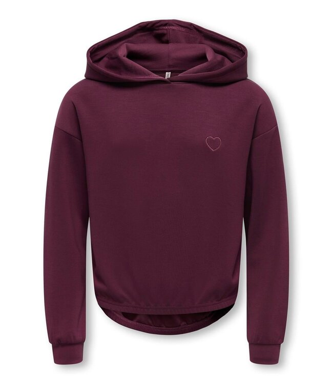 FW Kids Only: Hoodie Gada-Cooper 15364592 (Figfig)