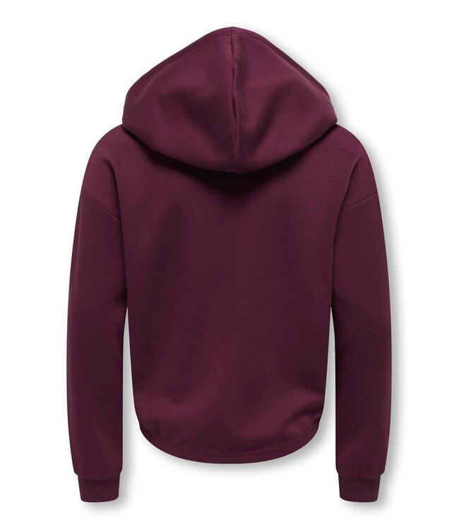 FW Kids Only: Hoodie Gada-Cooper 15364592 (Figfig)