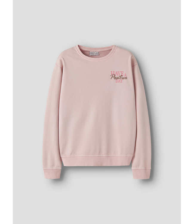 FW Name it: Sweater Louise 13258329 (Lotus)