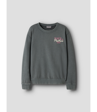 Name it FW Name it: Sweater Louise 13258329 (Urban chic)