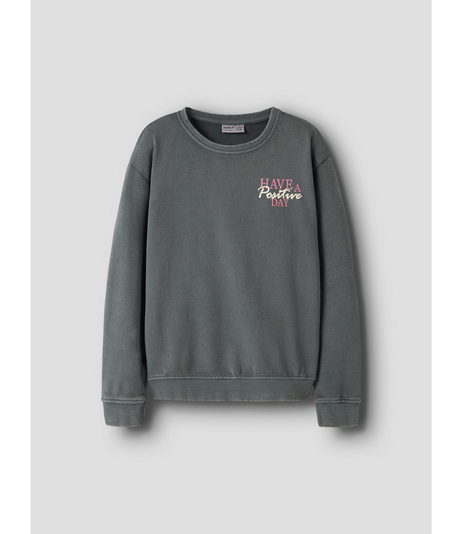 Name it FW Name it: Sweater Louise 13258329 (Urban chic)