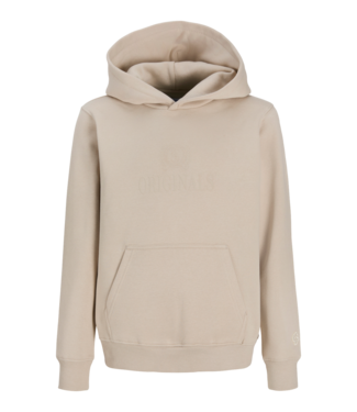 Jack & Jones FW Jack&Jones: Hoodie Frederiksberg 12301416 (Feather Gray)