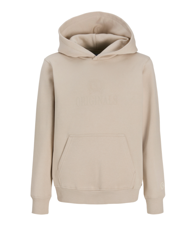 Jack & Jones FW Jack&Jones: Hoodie Frederiksberg 12301416 (Feather Gray)