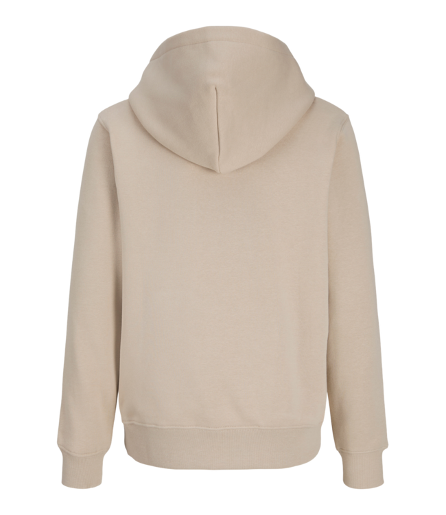 FW Jack&Jones: Hoodie Frederiksberg 12301416 (Feather Gray)