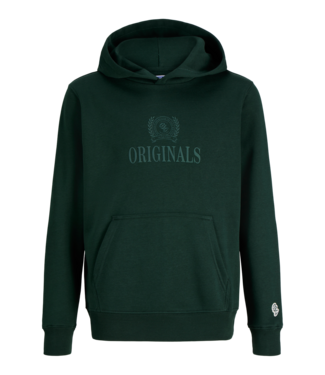 Jack & Jones FW Jack&Jones: Hoodie Frederiksberg 12301416 (Pine grove)