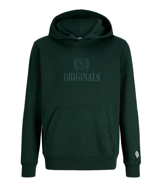 Jack & Jones FW Jack&Jones: Hoodie Frederiksberg 12301416 (Pine grove)