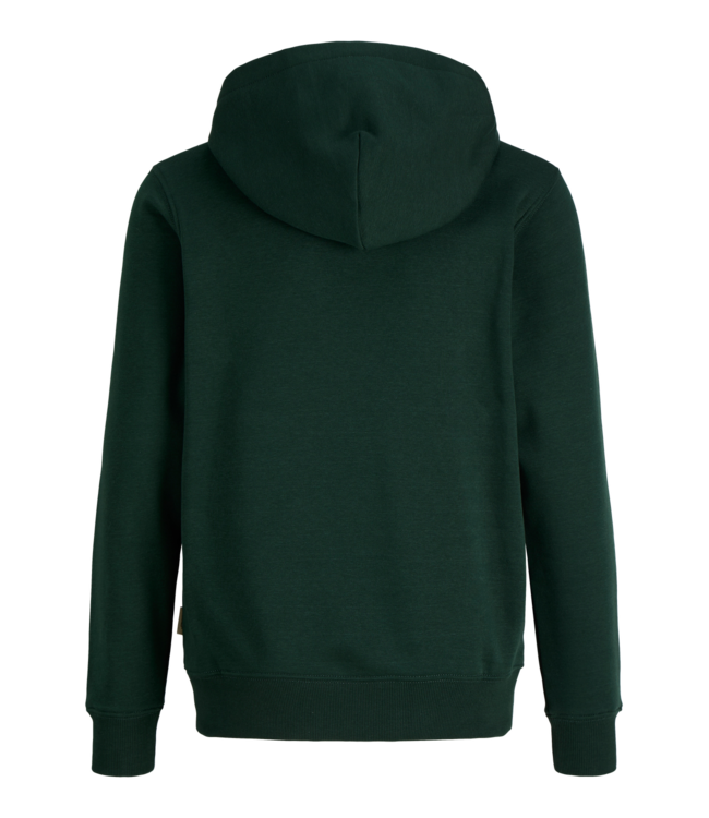 FW Jack&Jones: Hoodie Frederiksberg 12301416 (Pine grove)