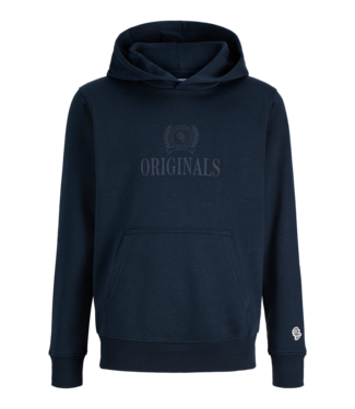 Jack & Jones FW Jack&Jones: Hoodie Frederiksberg 12301416 (Sky captain)