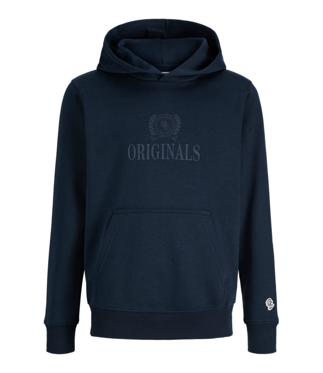 FW Jack&Jones: Hoodie Frederiksberg 12301416 (Sky captain)