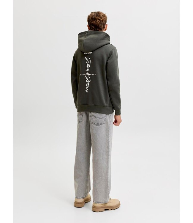 FW Jack&Jones: Hoodie Club 12301331 (Peat)