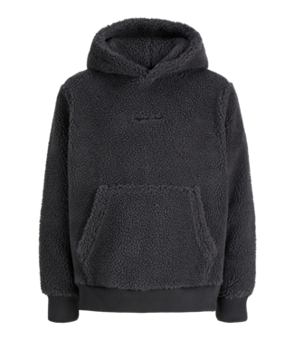 Jack & Jones FW Jack&Jones: Teddy Hoodie Norrebro 12303316 (Asphalt)