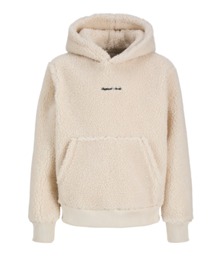 Jack & Jones FW Jack&Jones: Teddy Hoodie Norrebro 12303316 (Oatmeal)